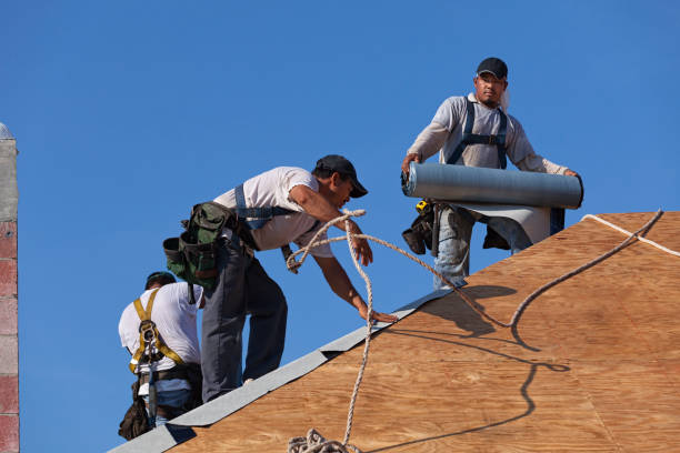 Roof Gutter Cleaning in Clarksville, IA